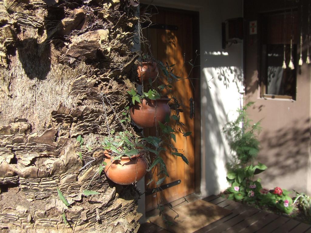 Hosteria Pascana San Salvador de Jujuy Eksteriør billede